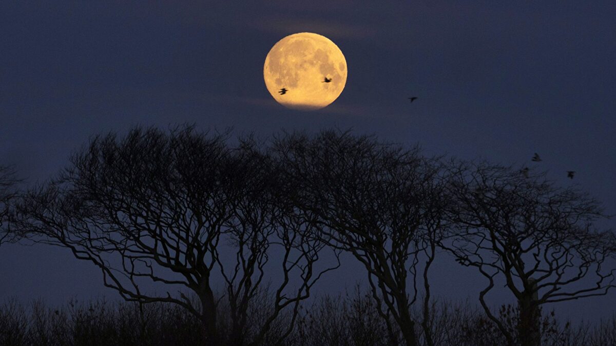 Llega la superluna del Cazador: la primera luna llena especial del otoño