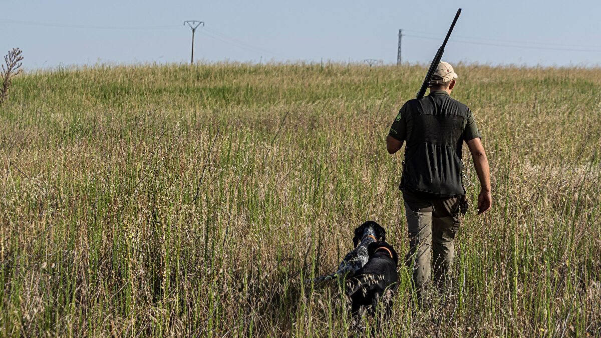Así será la licencia única para cazar y pescar en diez comunidades autónomas