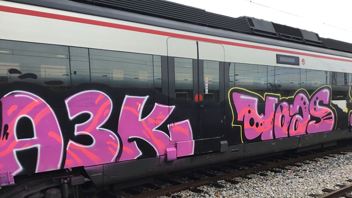 Detenido un grafitero por causar daños en diferentes trenes de Madrid y Castilla y León