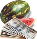 Los problemas ecológicos producidos por la presión del ecologismo sandía