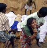 El horror del maremoto