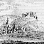 Halicz.