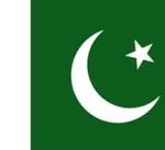Bandera de Pakistán.