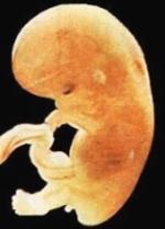 Imagen tomada de www.fluvium.org.