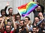 Celebración por parte de activistas homosexuales de la decisión del congreso