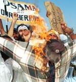 Fundamentalistas islámicos paquistaníes partidarios de Ben Laden.