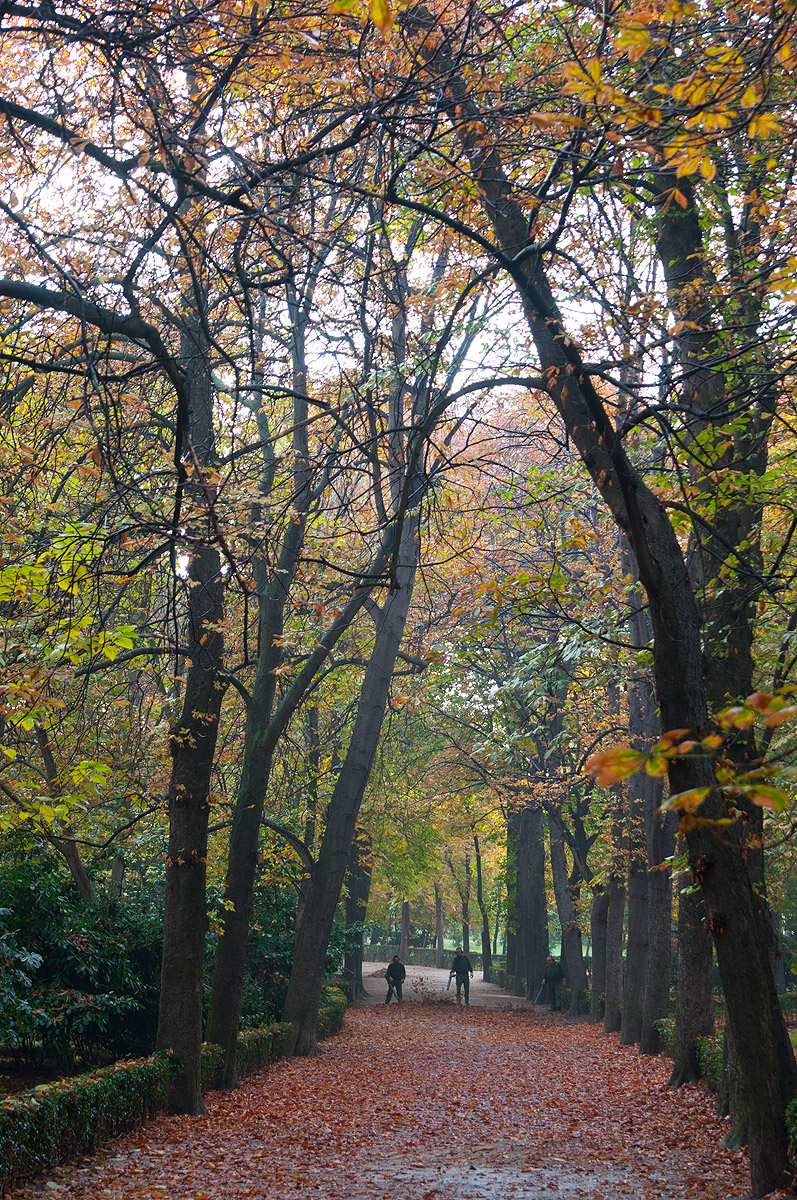 retiro_otono02.jpg