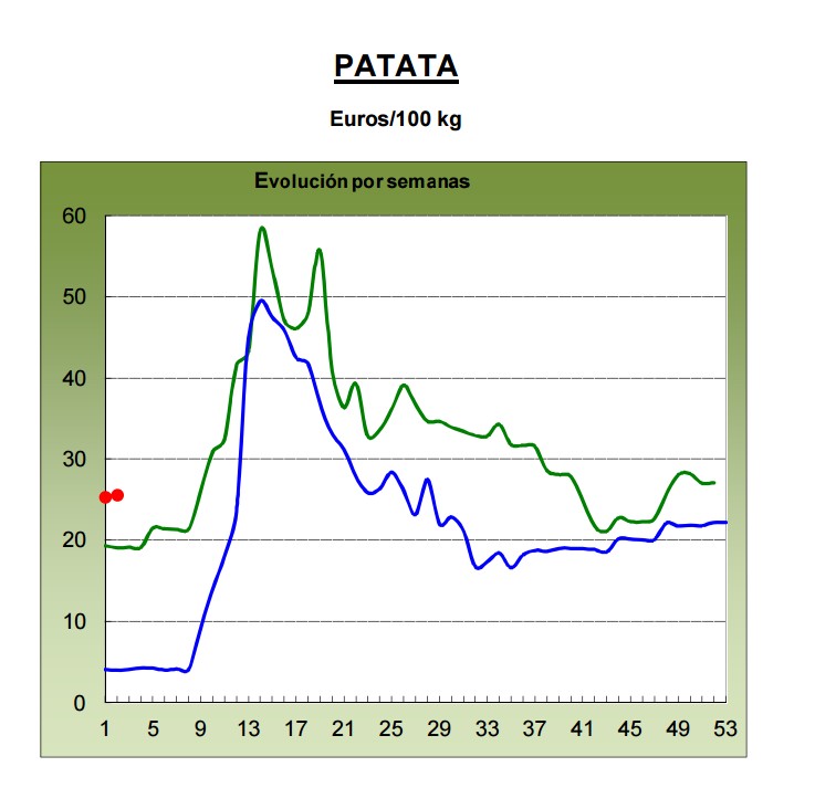 grafico-patata.jpg