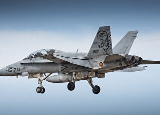 fuerzas-armadas-caza-f18-hornet-ejercito-del-aire-220517.jpg