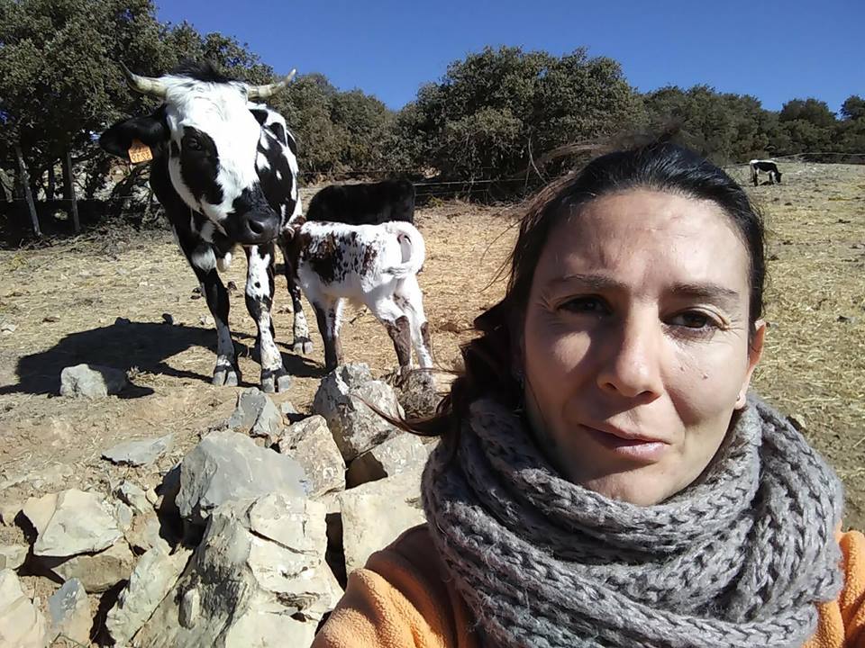 27857881_794507410734779_501090342306207