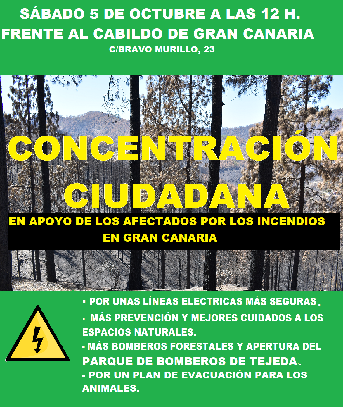 cartel-manifestacion-canarias-incendiosj