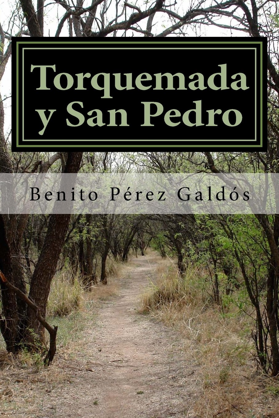 torquemada-y-san-pedro.jpg
