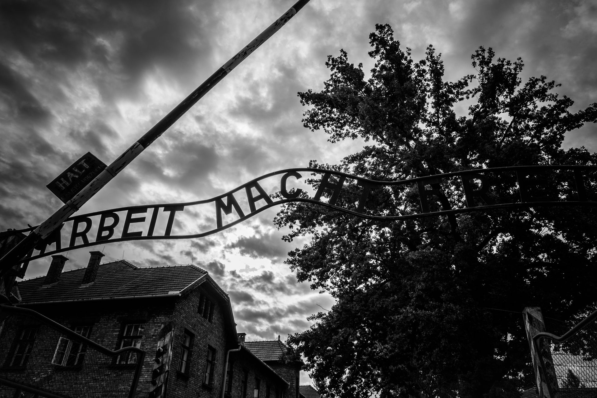 auschwitz-75-aniversario-polonia-2-2018.jpg