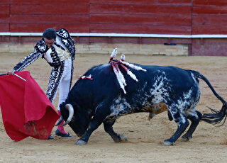 ana-soria-corrida-toros-huelva-enrique-ponce-1.jpg