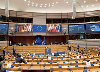 sesionparlamentoeuropeo.jpg