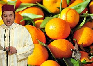 mohamed-mandarina.jpg