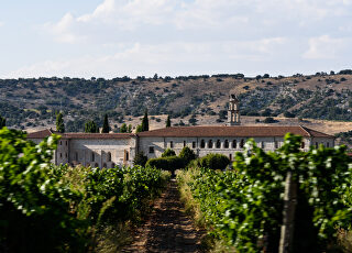 ribera-del-duero-ruta-verano.jpg