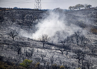 el-fuego-continua-devorando-hectareas-en-extremadura-y-castilla-y-leon.jpg