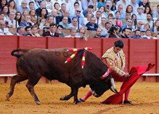 morante-empresa-pages-sevilla-2022-maestranza-toros.jpeg