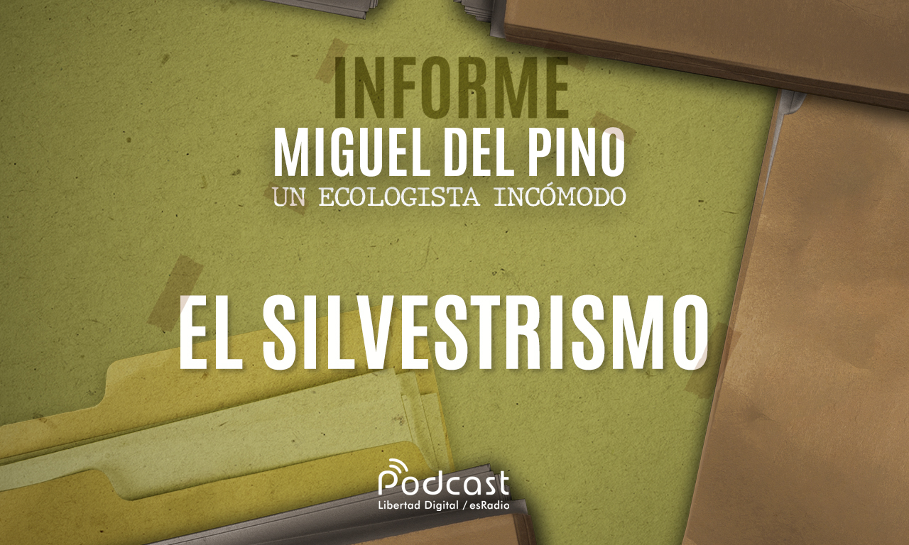 silvestrismo.jpg