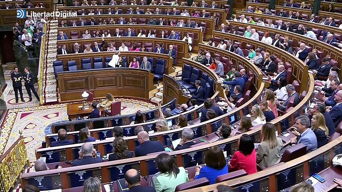 El Congreso aprueba el trámite para el uso de lenguas cooficiales en la ...