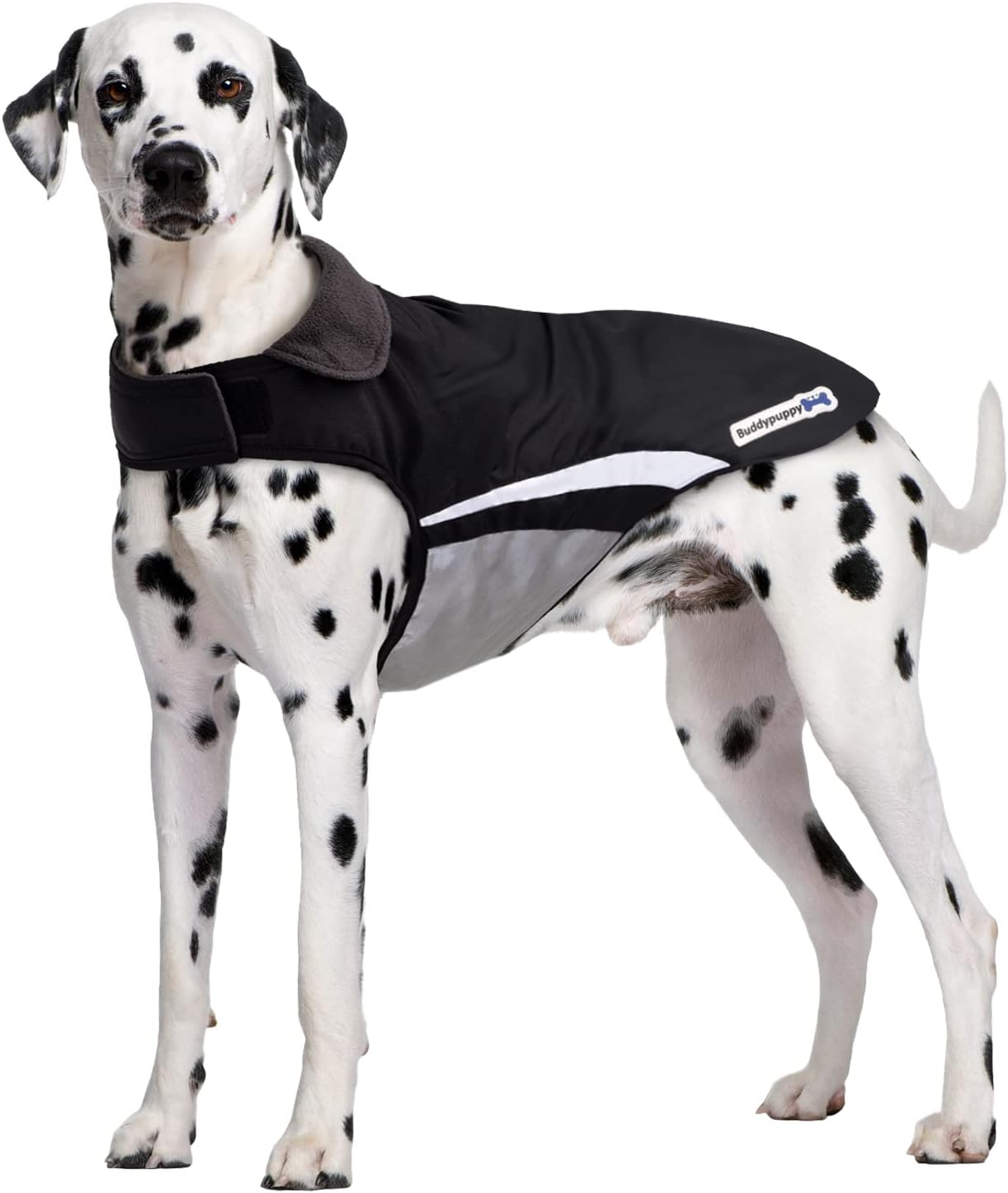 abrigo-impermeable-para-perros-buddypuppy.jpg