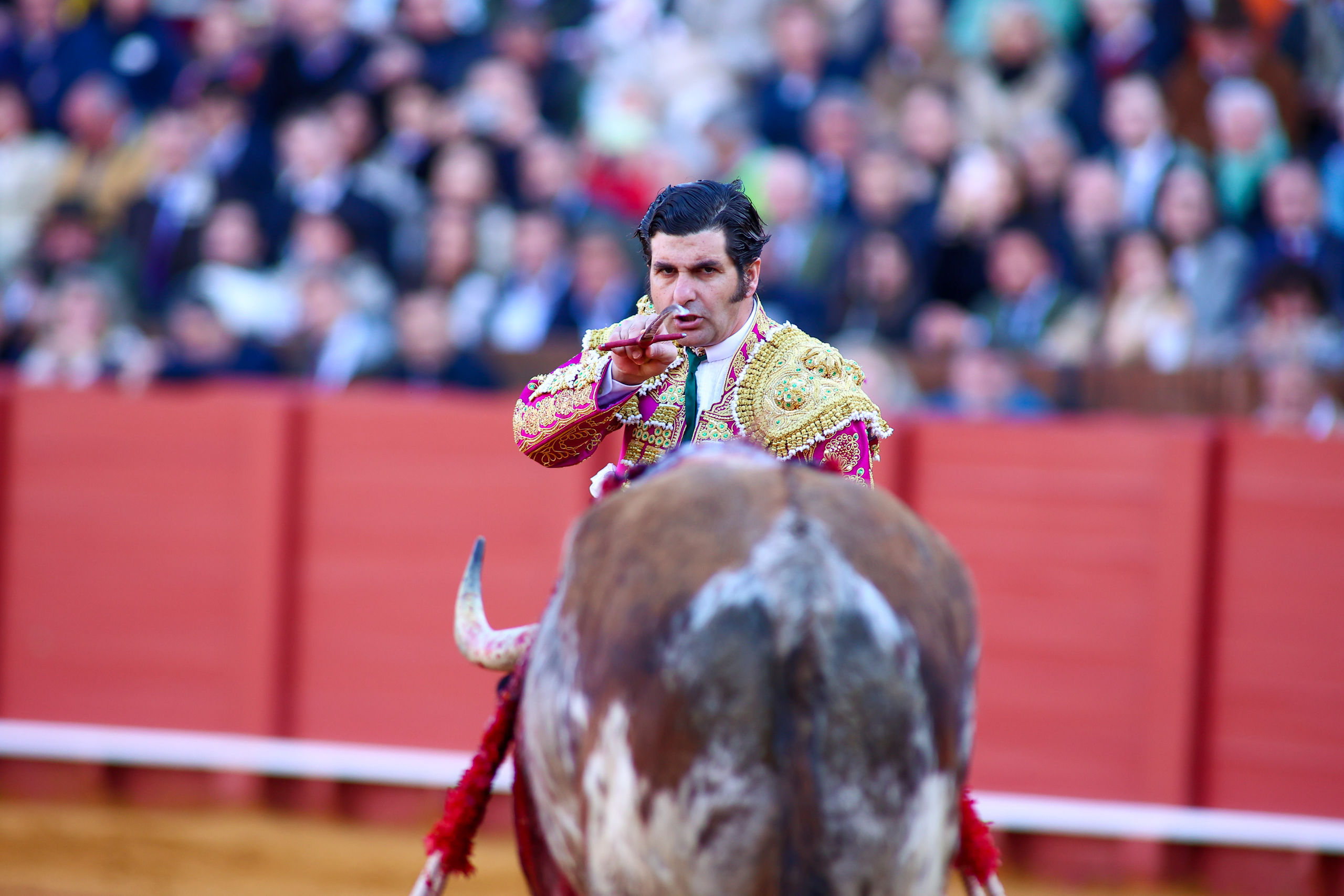 morante-maestranza-sevilla-domingo-resurreccion-2024.jpg