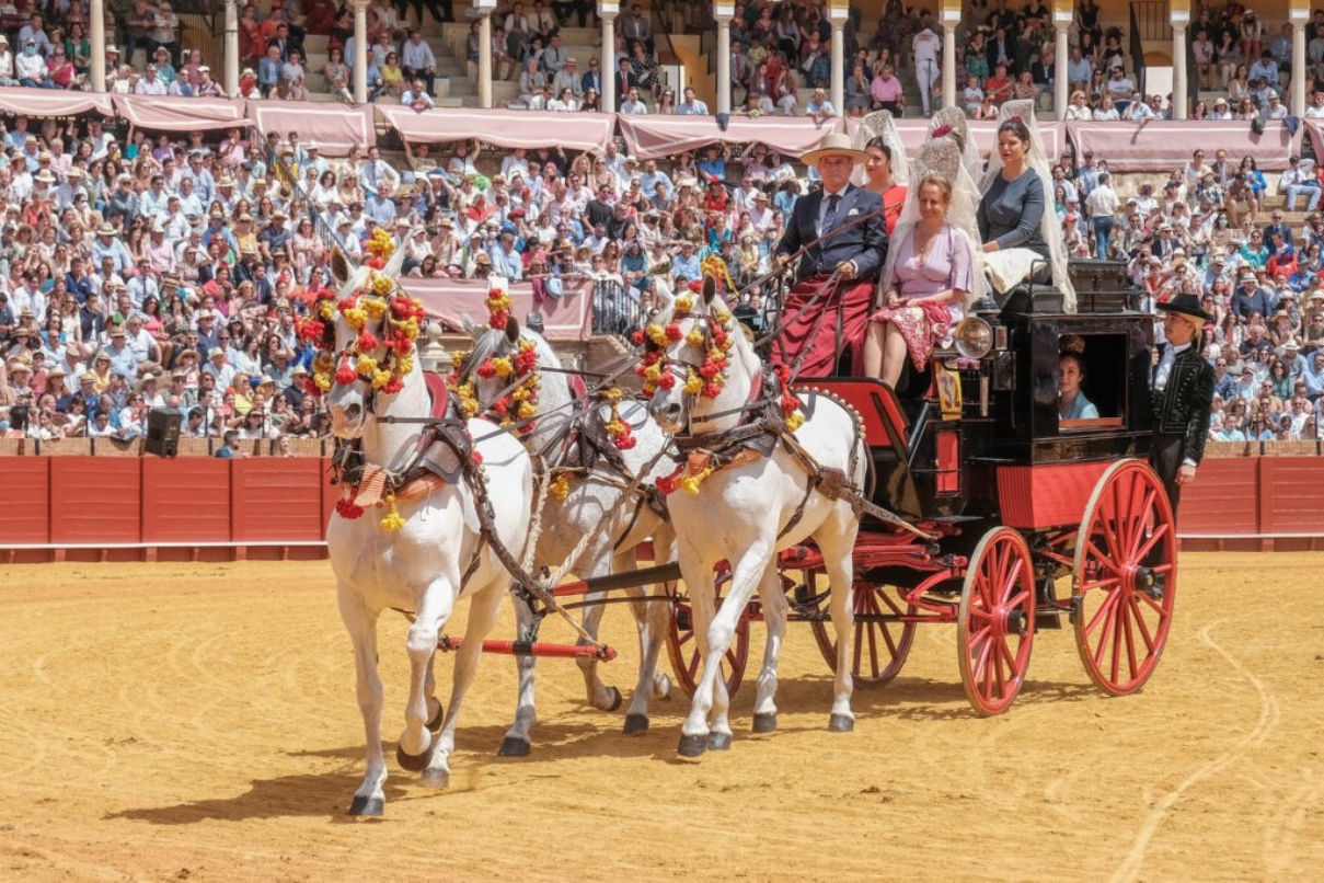 exhibicion-enganches-sevilla-3.jpg