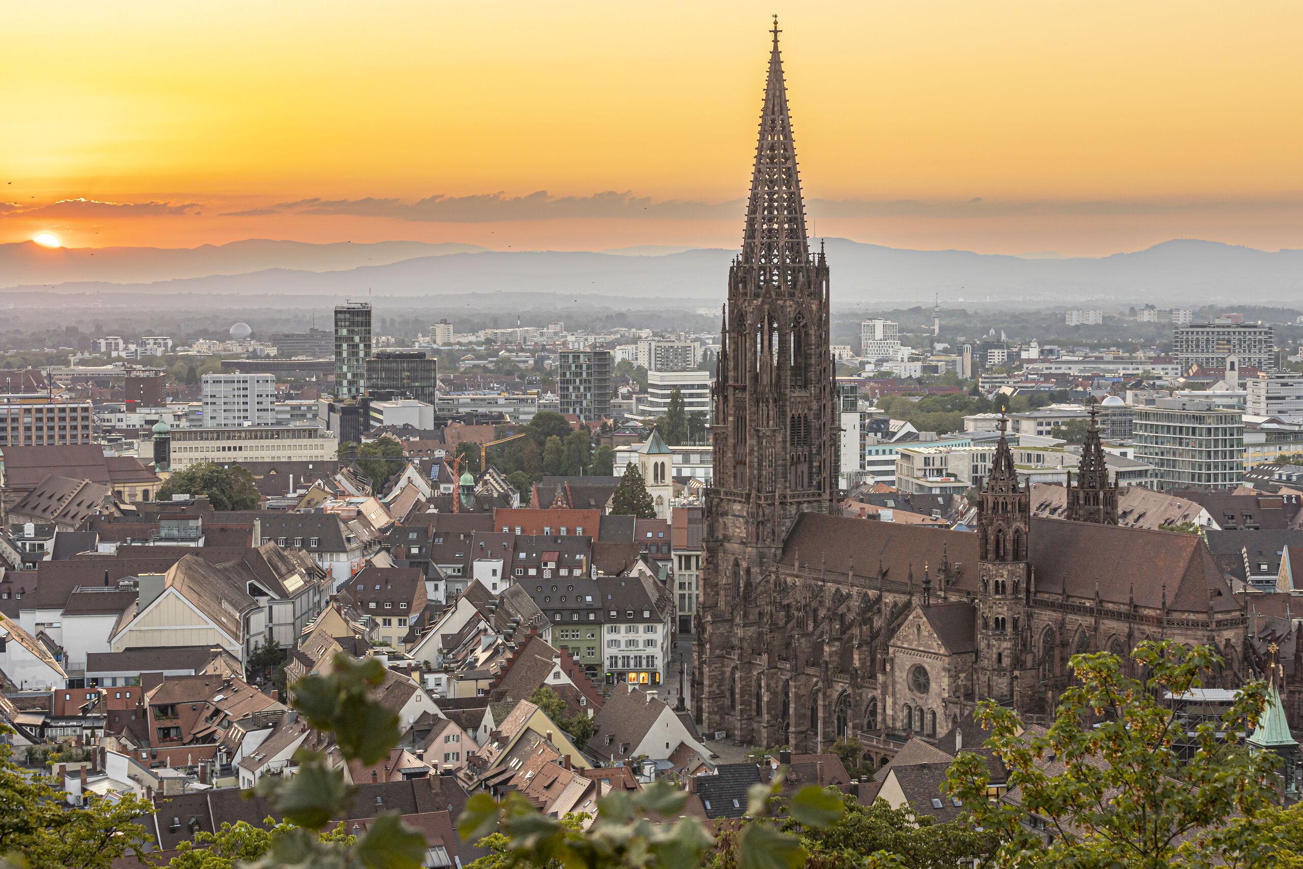 foto-friburgo.jpg
