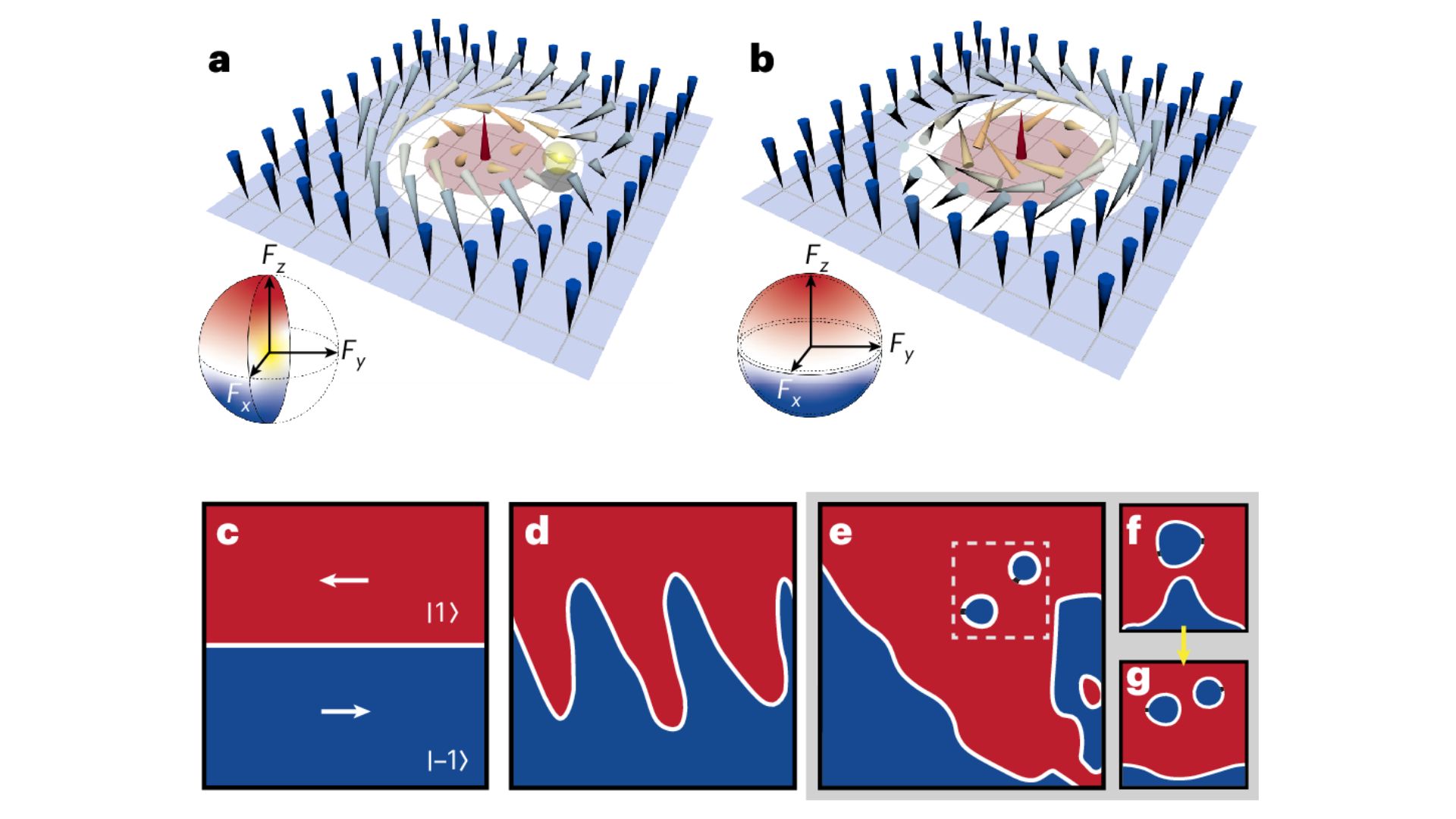 stable-singular-fractional-skyrmion-spin-texture-from-the-quantum-kelvin-helmholtz-instability-2.jpg