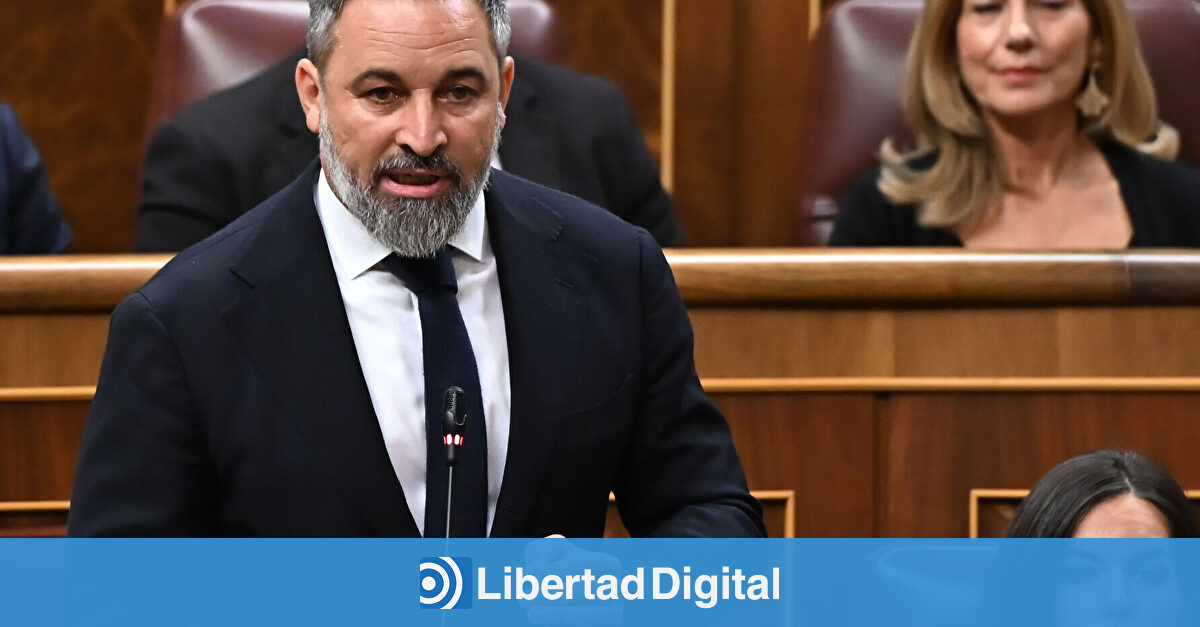 Sánchez y Abascal opositan a María Pombo