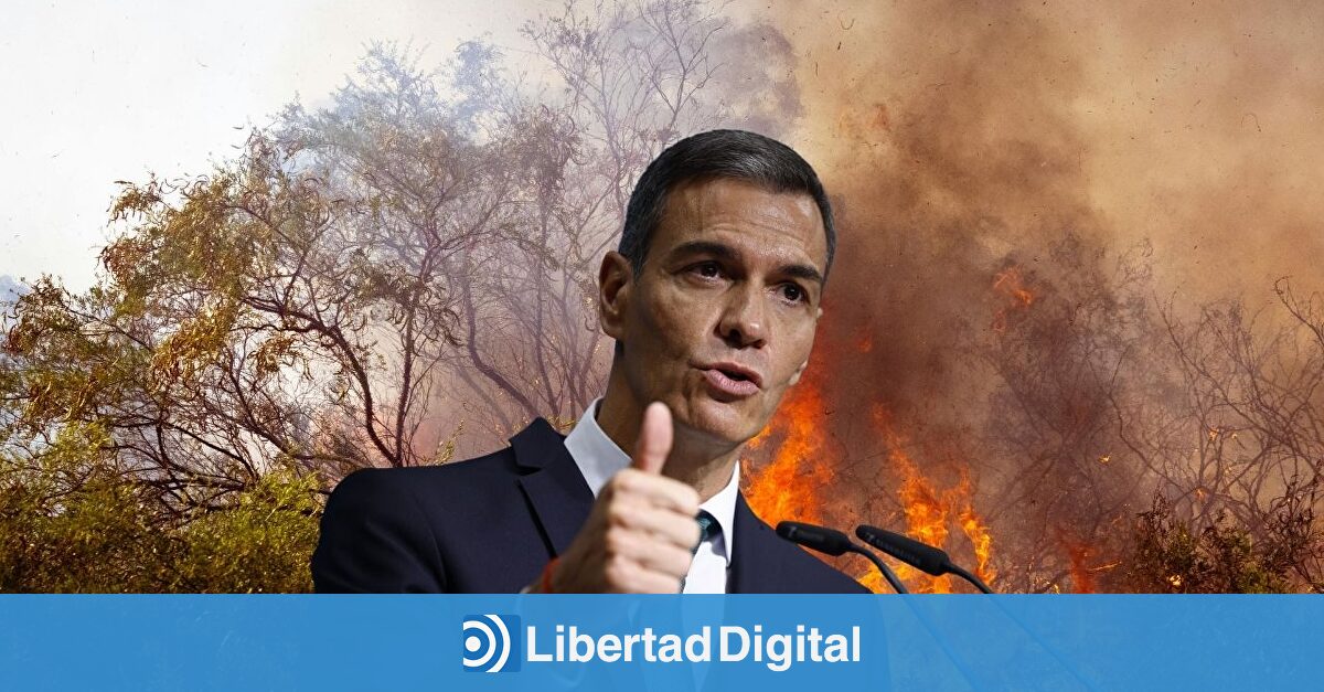 "Nos va la vida en ello": Sánchez tergiversa las cifras para augurar una catástrofe climática con 20.000 muertos