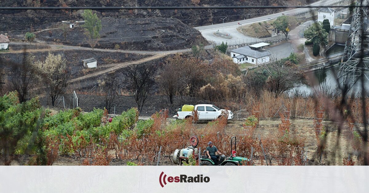 El conselleiro de Presidencia urge al Gobierno central ayudas para los afectados por los incendios