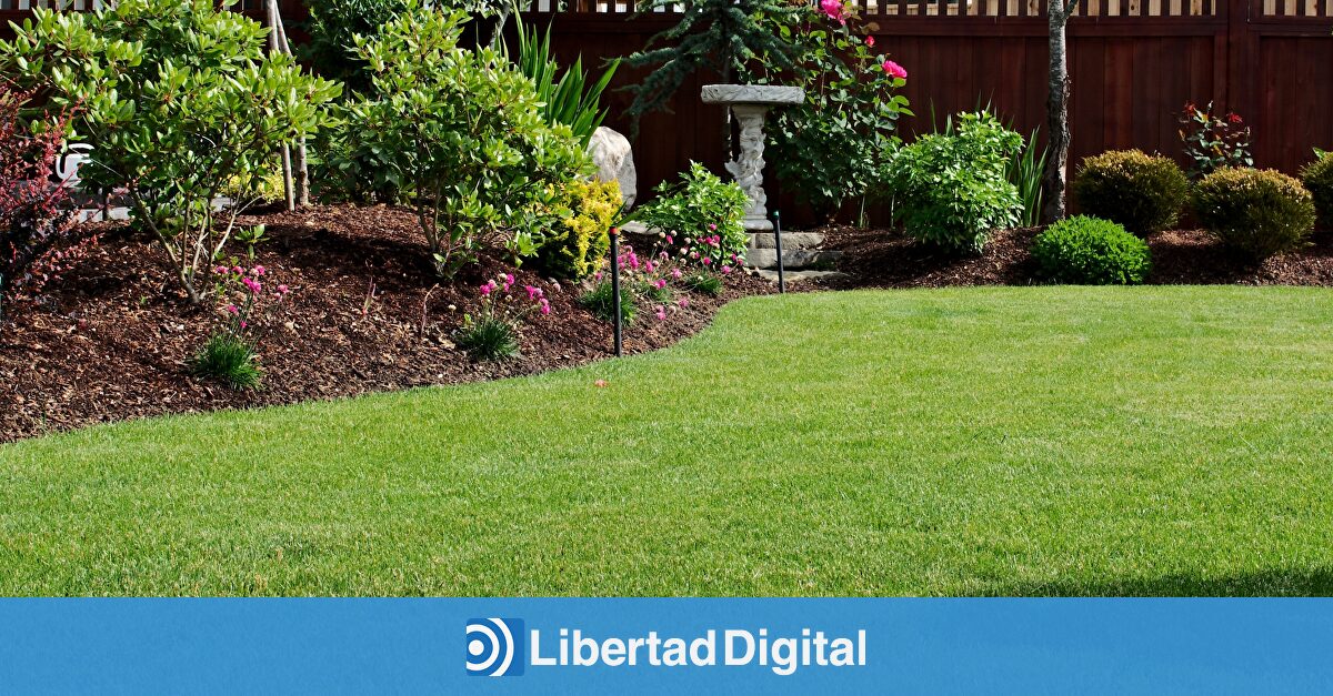 Guía para mantener un césped verde, frondoso y saludable durante todo el año