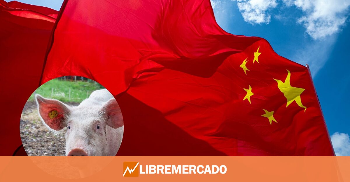 China castiga con aranceles al cerdo español pero el Gobierno prefiere omitirlo y quejarse sólo de los de Trump