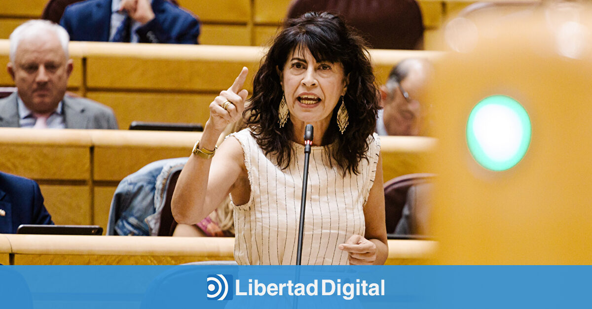 El Consejo General del Poder Judicial también avisó dos veces a Igualdad de los fallos en las pulseras antimaltrato