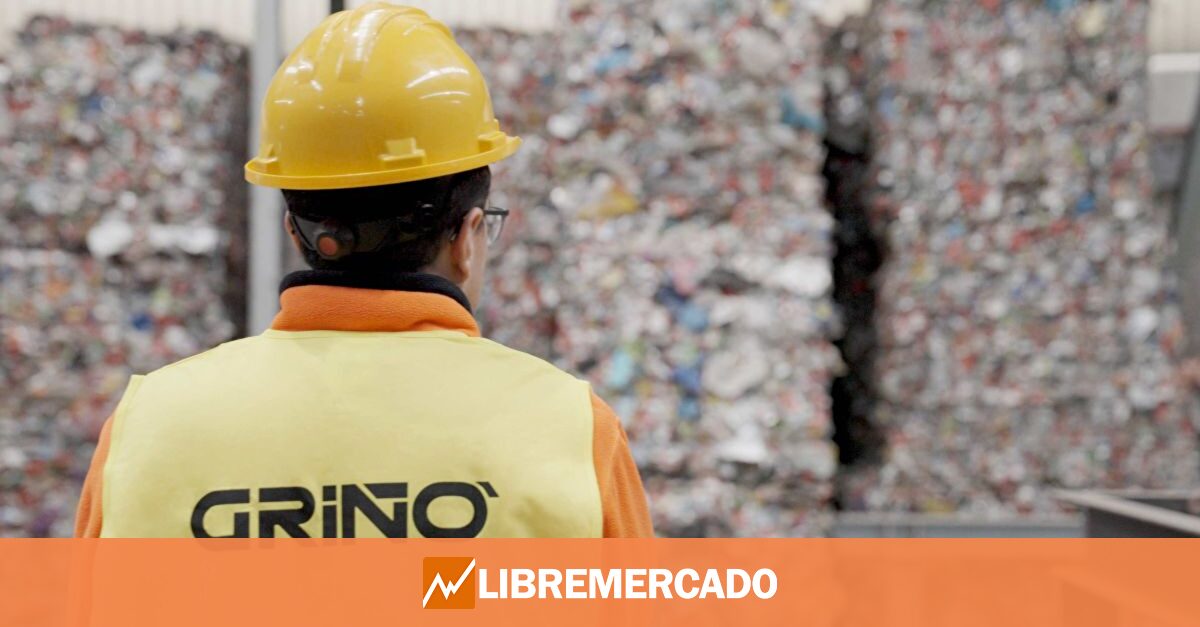 Grupo Griñó cierra 2024 con más de 200 millones de facturación