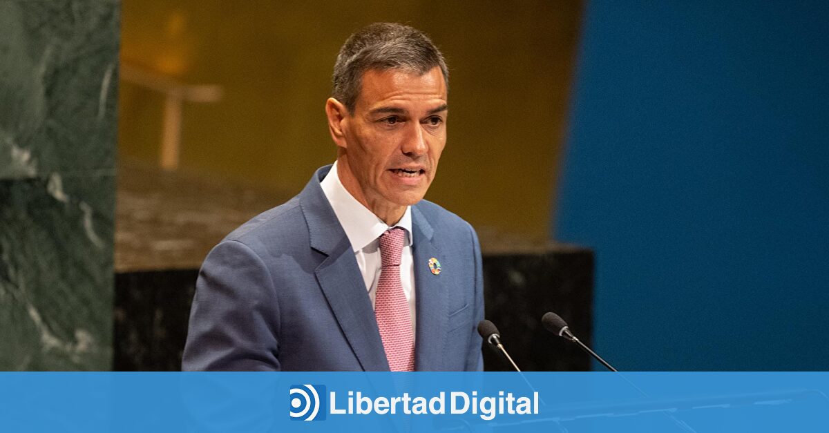 El gran momento de Sánchez como salvador de Gaza en la ONU dura dos minutos: "Tenemos que parar esta matanza"