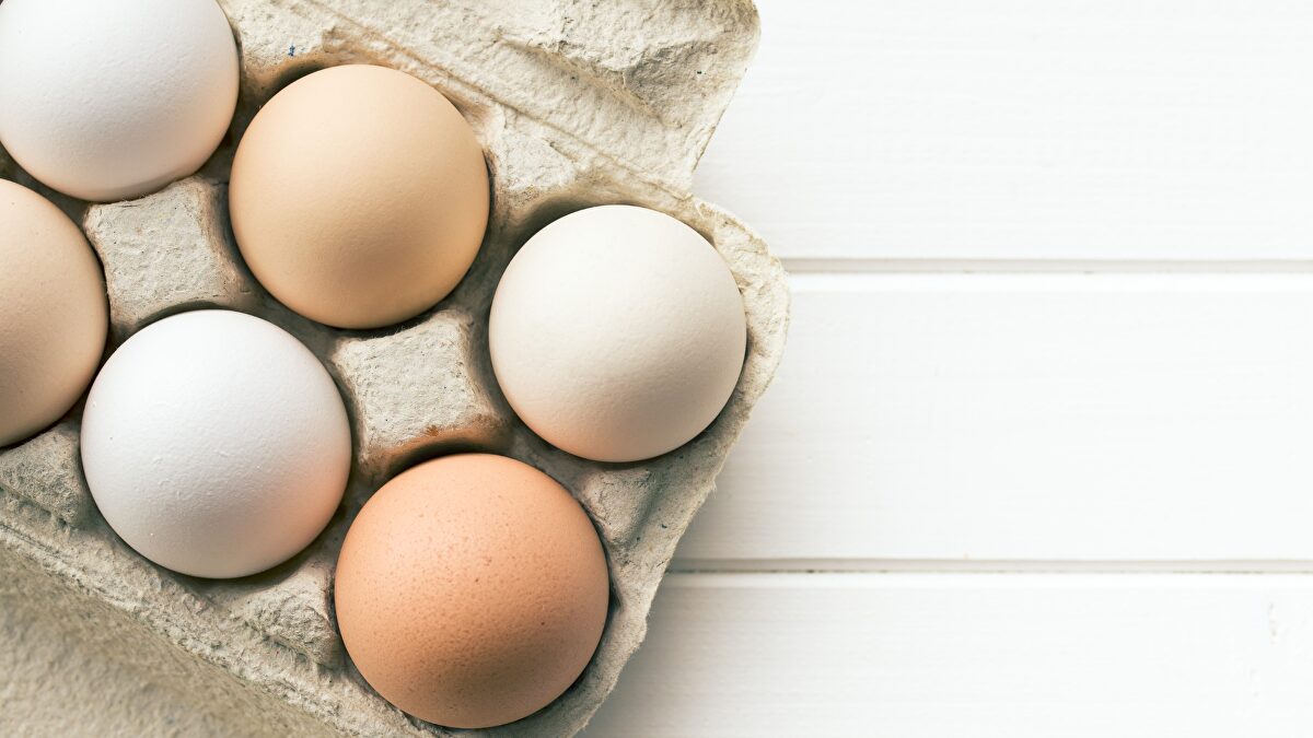 Cinco formas de dar una segunda vida a las cajas de cartón de huevos