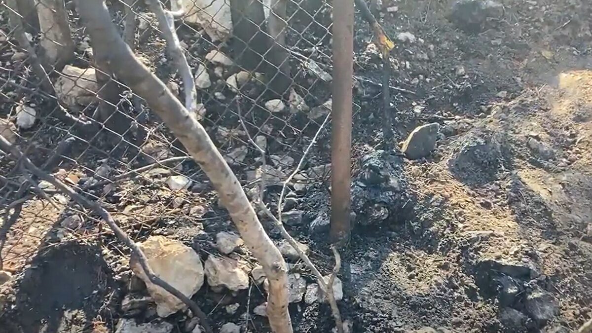 Investigan la muerte de una mujer desaparecida en agosto tras hallar su cadáver calcinado en Valencia