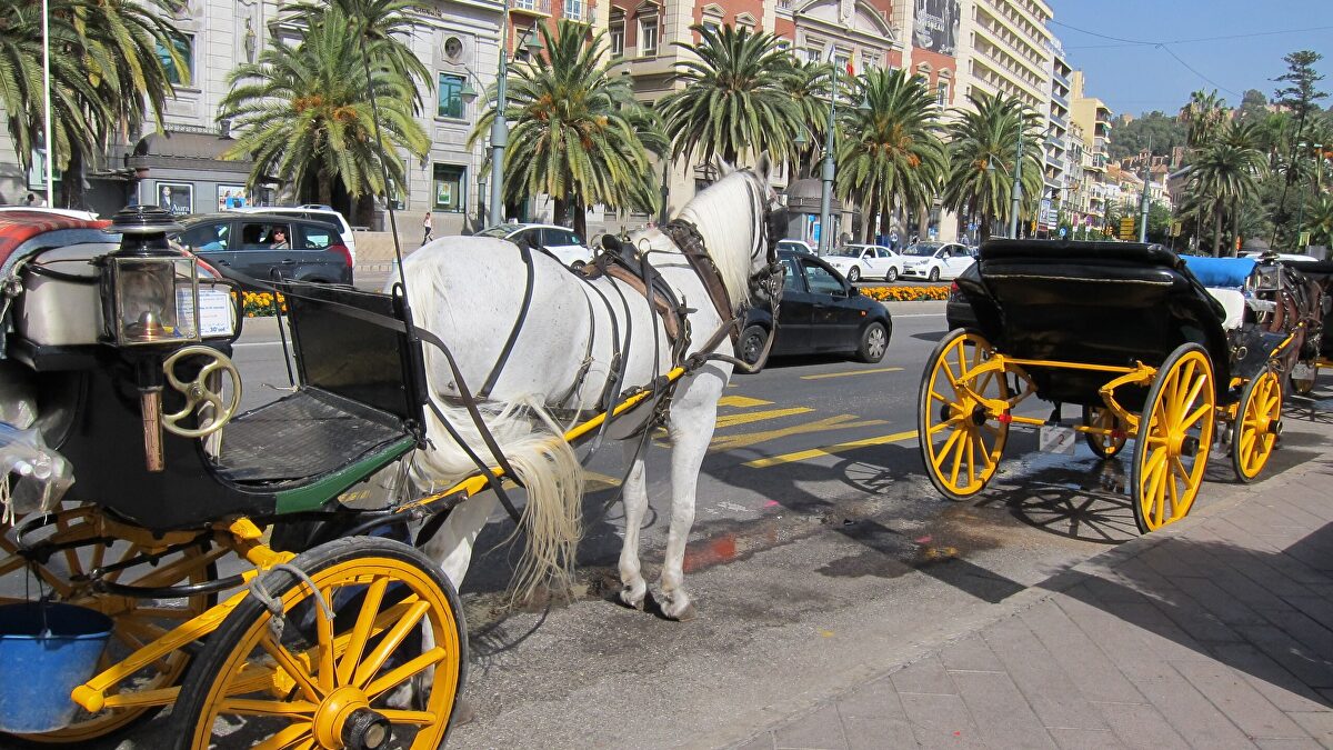 Málaga prohíbe los coches de caballos por motivos de bienestar animal