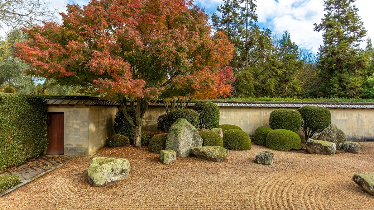 Cómo preparar el jardín para el otoño y evitar que el frío acabe con tus plantas