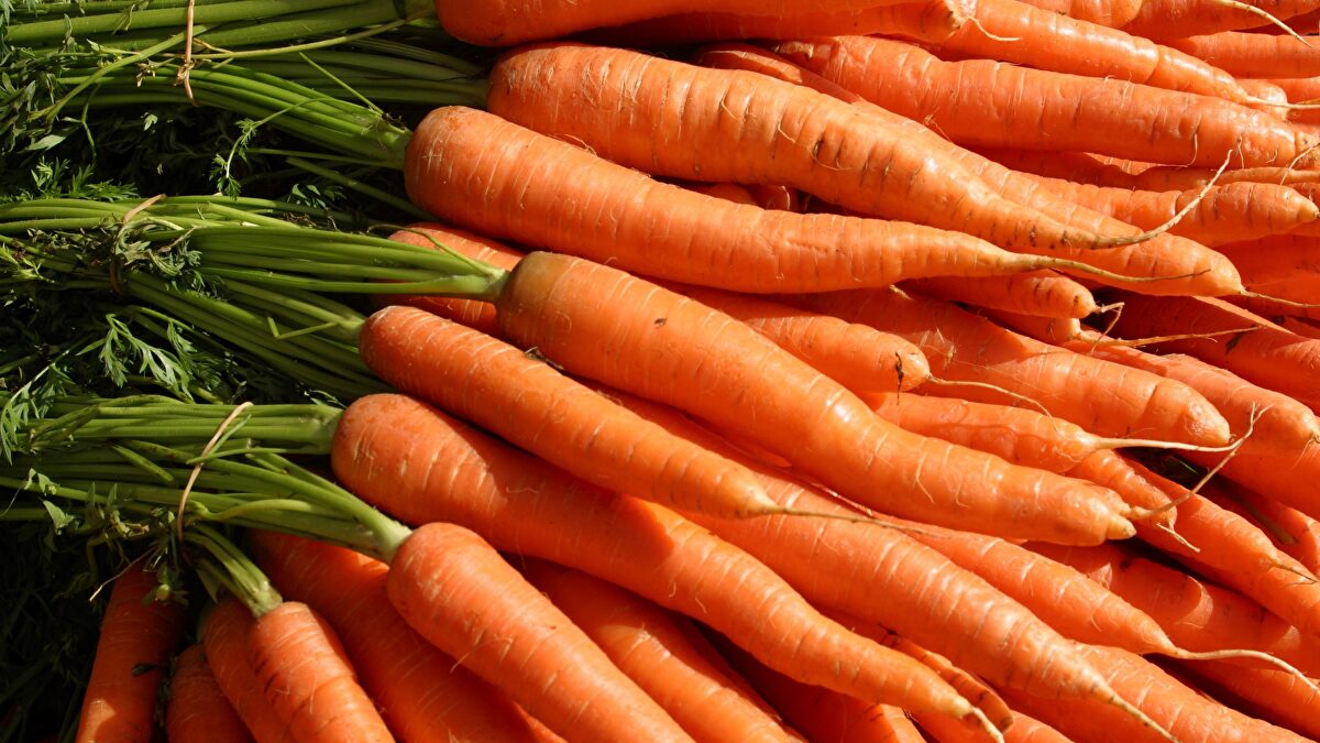 Del huerto a la mesa: los cultivos y alimentos estrella para disfrutar en otoño