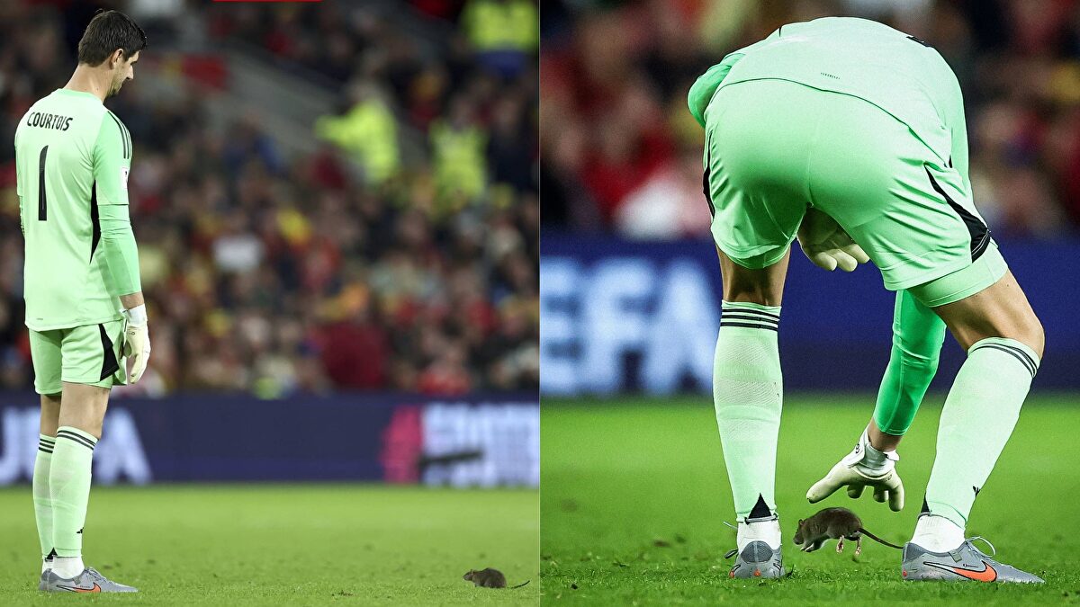 Un roedor 'regatea' a Courtois y se lleva el 'olé' del público galés