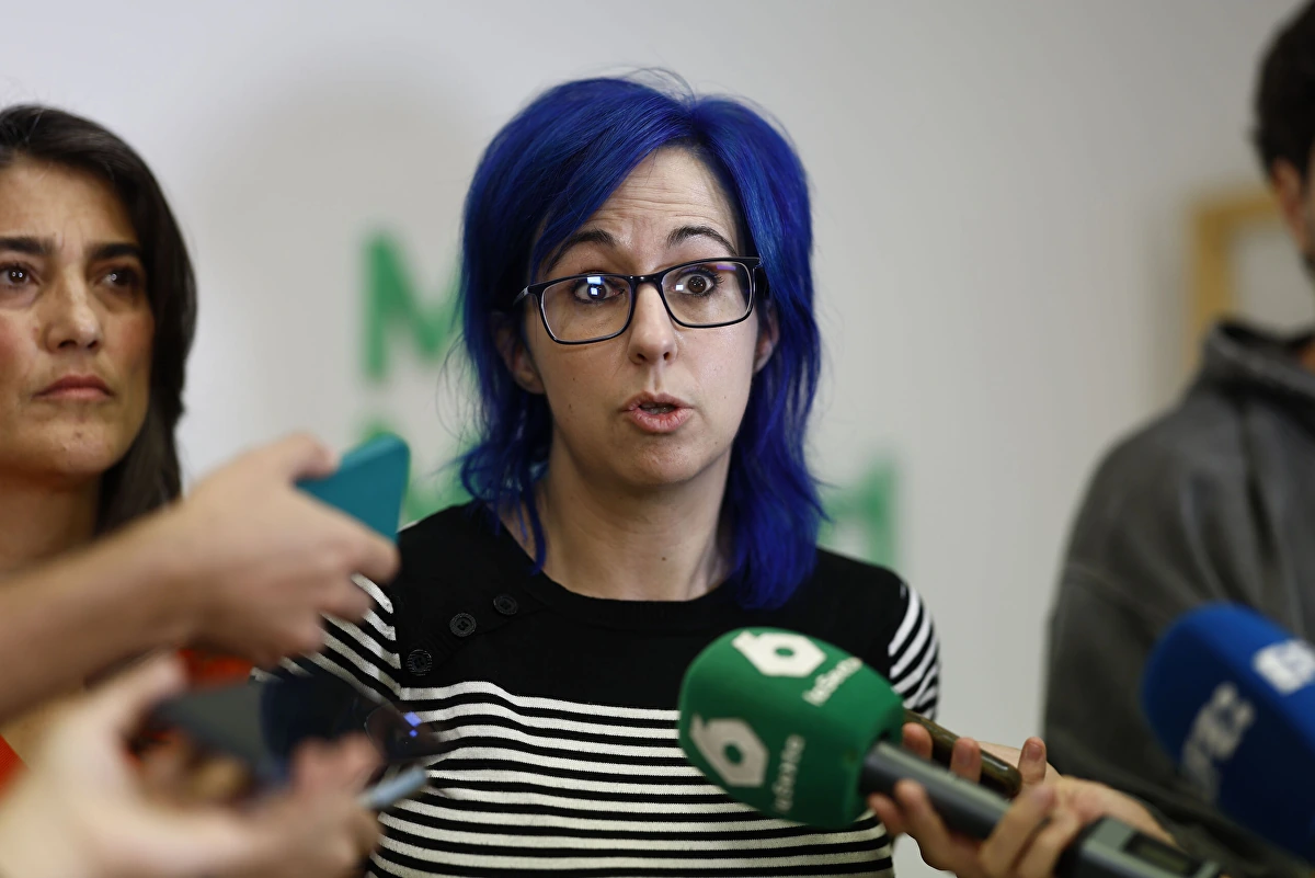 El ataque de una diputada de Más Madrid a Ayuso: "Su infertilidad no se  resuelve obligando a otras mujeres a ser madres" - Libertad Digital