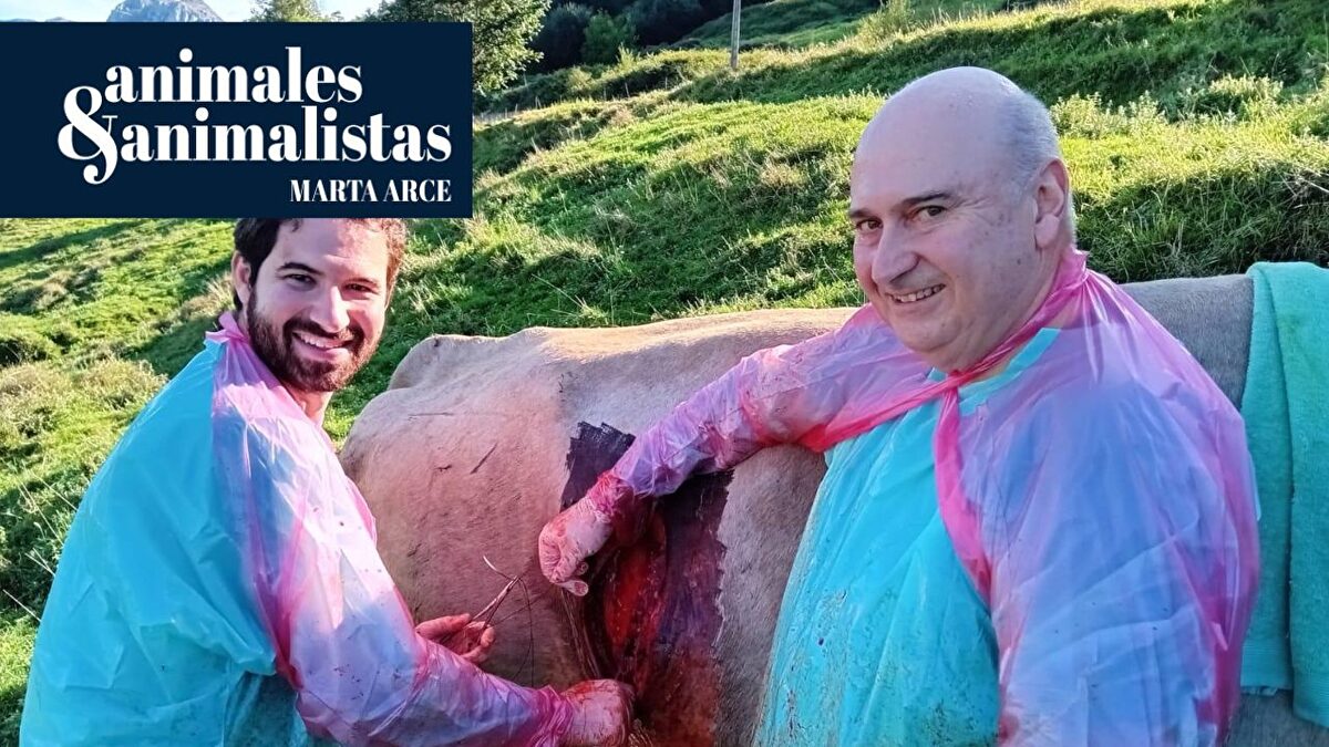 Los veterinarios rurales, en peligro de extinción: "Nos ven como bichos raros"