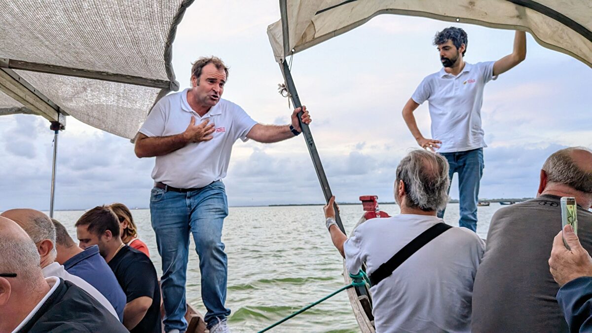 La Albufera renace: el reencuentro con el corazón arrocero de Valencia tras la Dana
