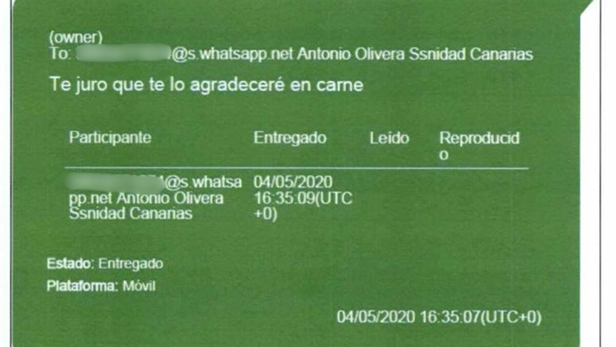 Koldo ofrecía carreteras del Gobierno y pagos en carne como incentivos para que Canarias les pagara mascarillas