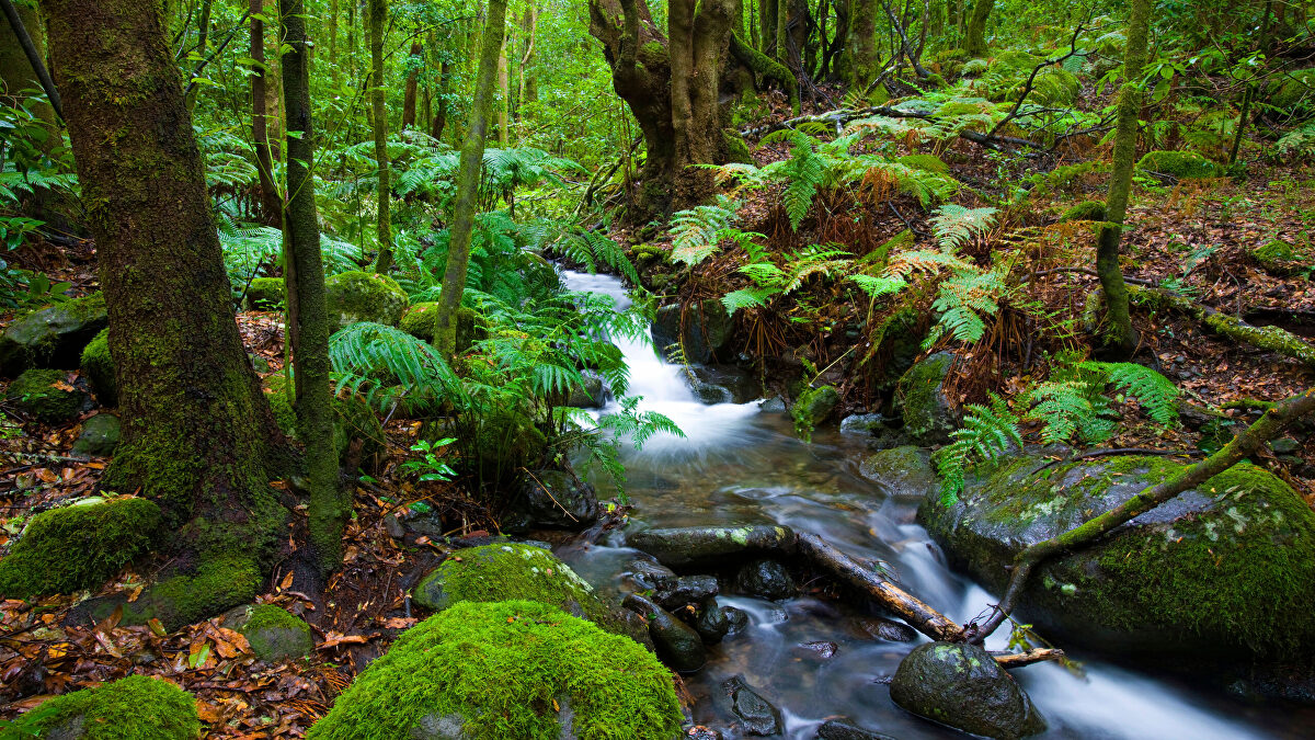 ¿Sabías que España tiene una isla (casi) salvaje? Estos son los secretos para conocerla