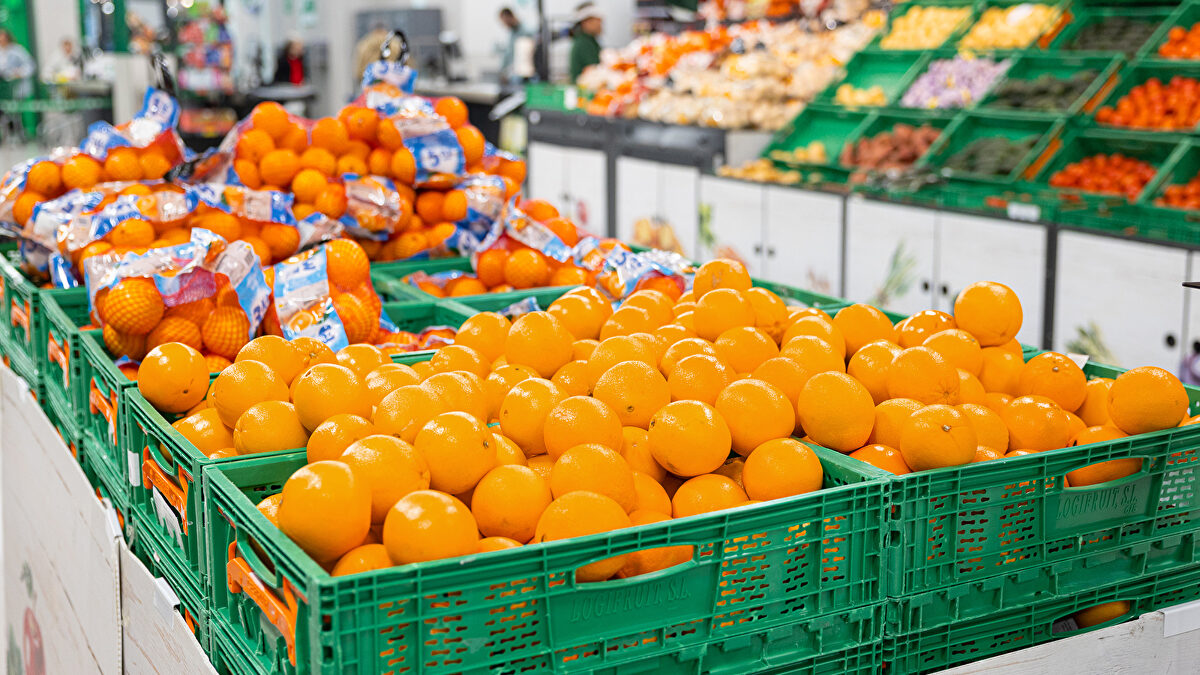 Mercadona comercializará este año 131.000 toneladas de naranja nacional